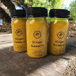 Organic Ginger Turmeric Shots - 3 pack